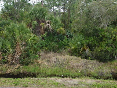 2480 Lacourt Lane, Malabar, FL 32950