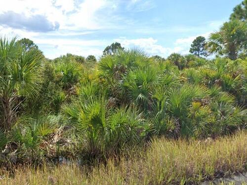 982 Astilbe Street SW, Palm Bay, FL 32908