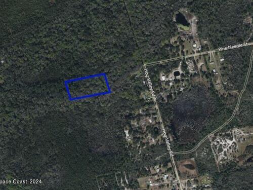 Xxx Pine Needle Street, Mims, FL 32754