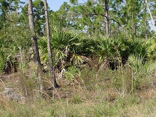 0000 Unknown, Malabar, FL 32950