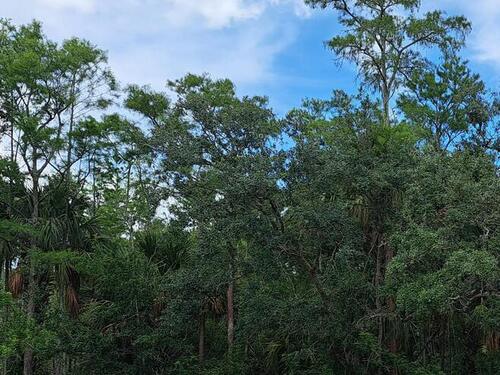 Unknown Balog Court N, Grant, FL 32949