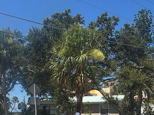 3443 Gran Avenue NE, Palm Bay, FL 32905