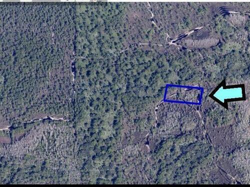 None Unknown, Grant, FL 32949