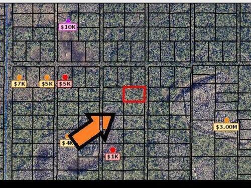 None Unknown, Grant, FL 32949