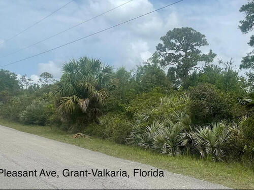 4660 Mount Pleasant Avenue, Grant-Valkaria, FL 32949