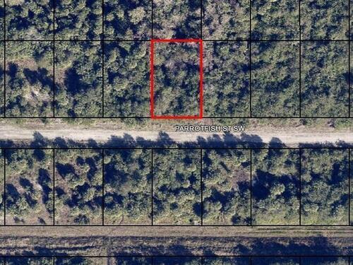 677 Parrotfish Street SW, Palm Bay, FL 32908