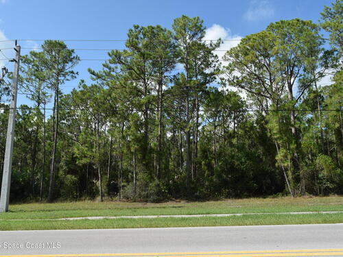 206 Emerson Drive NW, Palm Bay, FL 32907