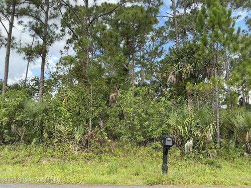 270 Mardi Gras Avenue NW, Palm Bay, FL 32907