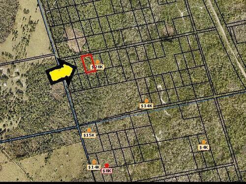 None Unknown, Mims, FL 32754