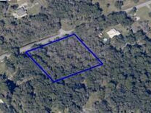 4545 Burkholm Road, Mims, FL 32754