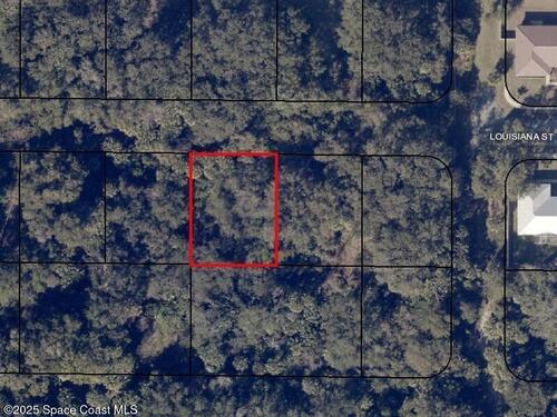 Louisiana Street, Titusville, FL 32780