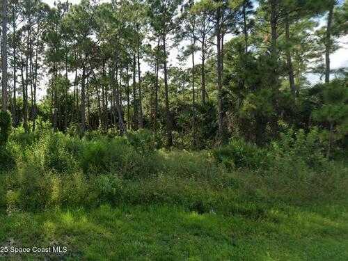 724 Daniels Avenue SW, Palm Bay, FL 32908