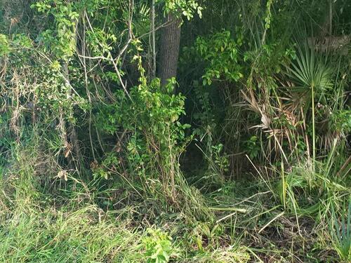 1462 Newfound Harbor Drive, Merritt Island, FL 32952