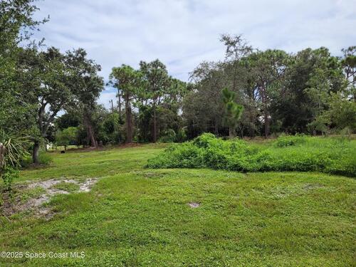 11136 Mulberry Street, Sebastian, FL 32958