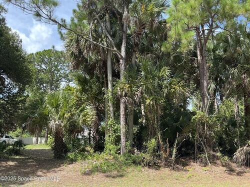 3270 Topsey Avenue SE, Palm Bay, FL 32909