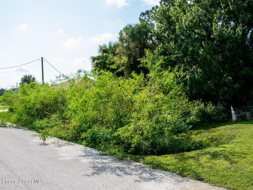 6115 Allmont Street, Cocoa, FL 32927