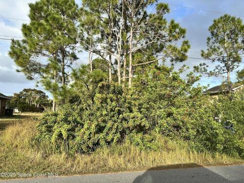 1485 Tidewell Street SE, Palm Bay, FL 32909