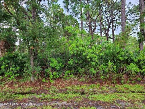 2561 Eldron Boulevard SE, Palm Bay, FL 32909