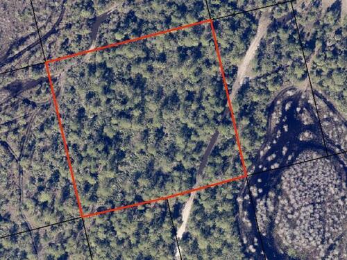 0000 Unknown, Mims, FL 32754