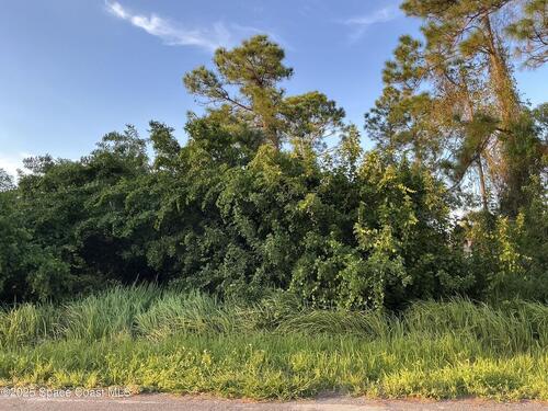 1325 Defender Street NW, Palm Bay, FL 32907