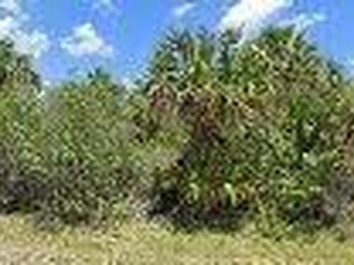 645 Akola Terrace SW, Palm Bay, FL 32908