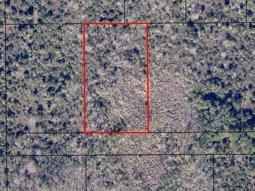 No Access Tbd West Of Florida Palm Avenue, Cocoa, FL 32927