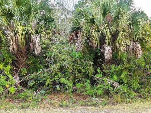 12885 86th Street, Fellsmere, FL 32948