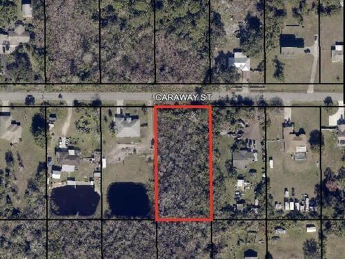 3331 Caraway Street, Cocoa, FL 32926