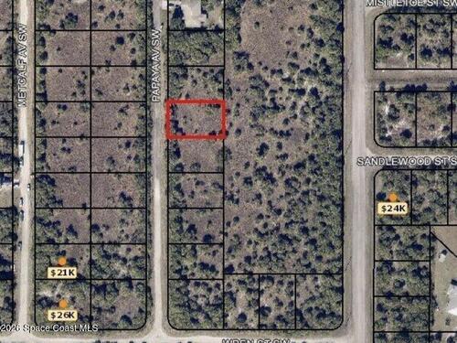 3159 Papaya Avenue SW, Palm Bay, FL 32908