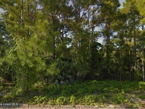 1541 Sarnia Street NW, Palm Bay, FL 32907