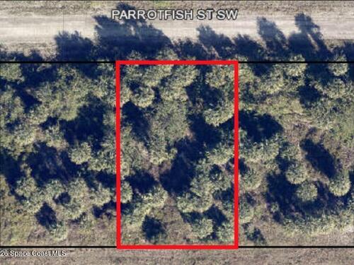 756 Parrotfish Street SW, Palm Bay, FL 32908