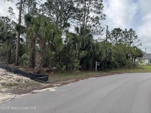 3395 SW Fitzpatrick Avenue SW, Palm Bay, FL 32908