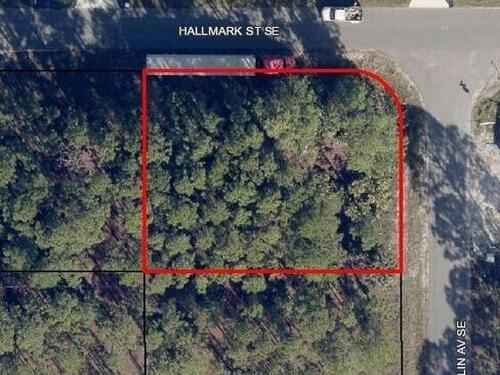3200 Hainlin (Cor Hallmark) Avenue SE, Palm Bay, FL 32909