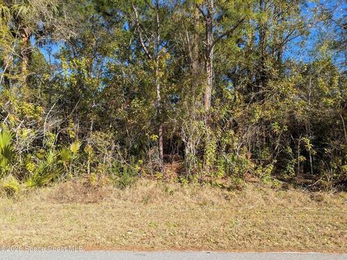 1611 San Diego Street SE, Palm Bay, FL 32909