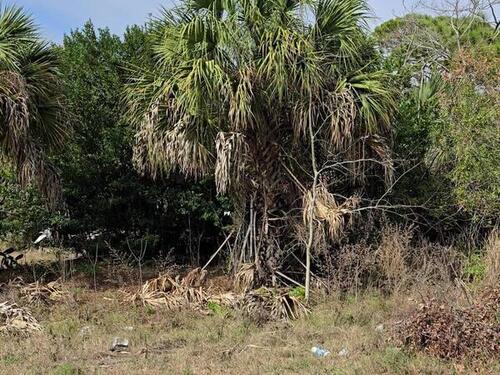 330 Iris Street, Cocoa, FL 32927