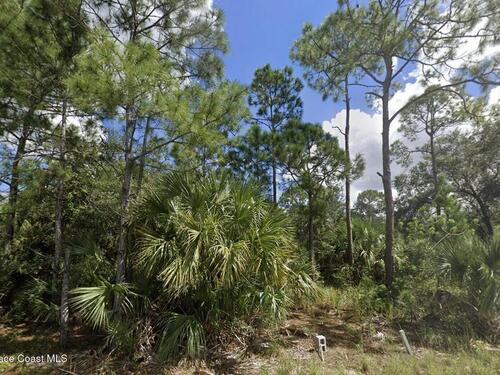 3081 Tinley Road SE, Palm Bay, FL 32909