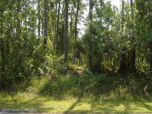 417 Wiltshire Avenue SW, Palm Bay, FL 32908