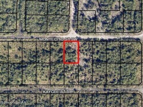 1440 Montecito Street SW, Palm Bay, FL 32908