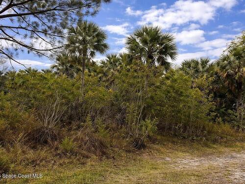 2041 Day Avenue SW, Palm Bay, FL 32908