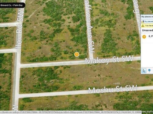 00000 Makow And Saffron Corner Avenue, Palm Bay, FL 32908