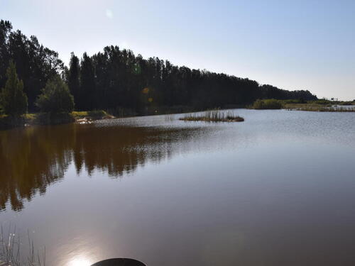 1500 Rock Lake Lane, Rockledge, FL 32955