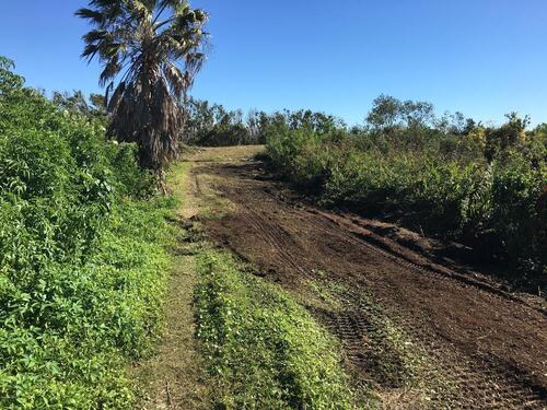 3690 S Courtenay Parkway, Merritt Island, FL 32952