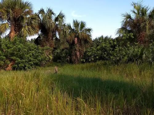 1991 Conkling Avenue SW, Palm Bay, FL 32908