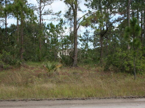 1203 Sexton Road SW, Palm Bay, FL 32908