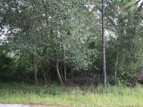 346 Triana Avenue SW, Palm Bay, FL 32908