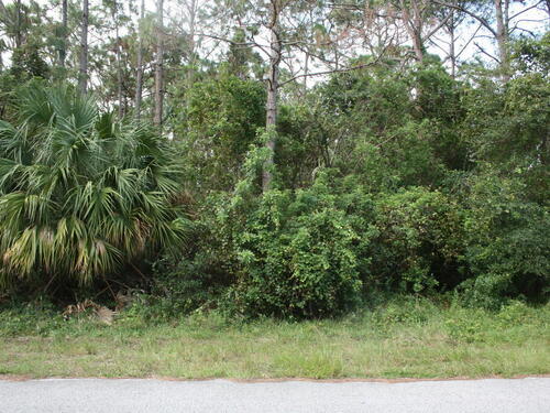 526 Plumbago Road NW, Palm Bay, FL 32907