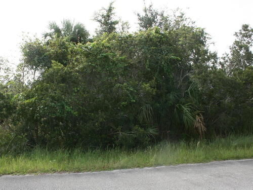 460 Truman Street SW, Palm Bay, FL 32908