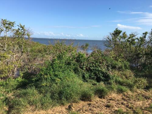 3660 S Courtenay Parkway, Merritt Island, FL 32952