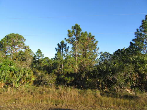 216 Deer Run Road, Palm Bay, FL 32909