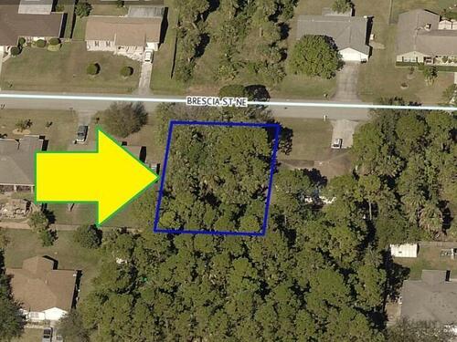 318 Brescia Street NE, Palm Bay, FL 32907